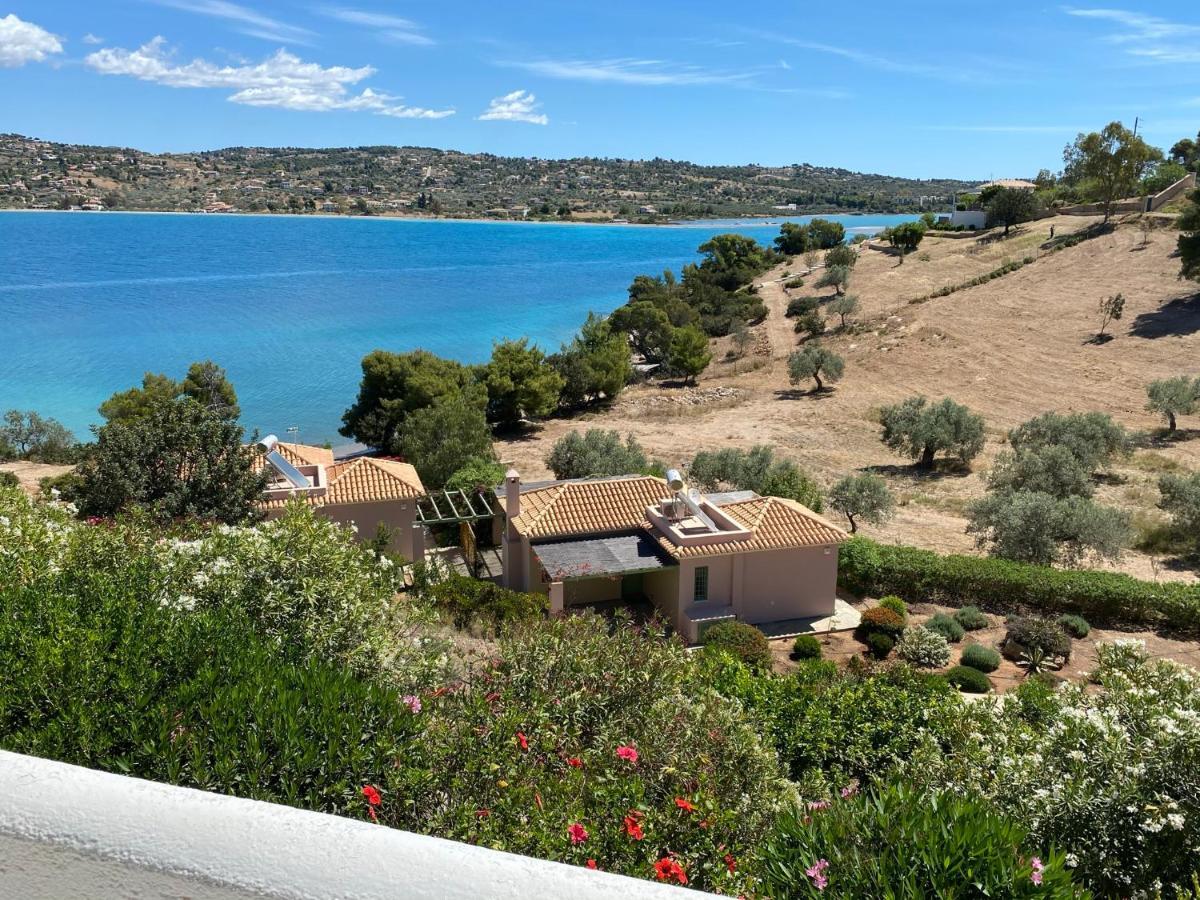Retreat Villa By The Sea With Pool In Porto Cheli Exteriér fotografie